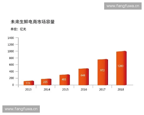 中国足球俱乐部发展现状与未来竞争格局的深度研究与战略思考